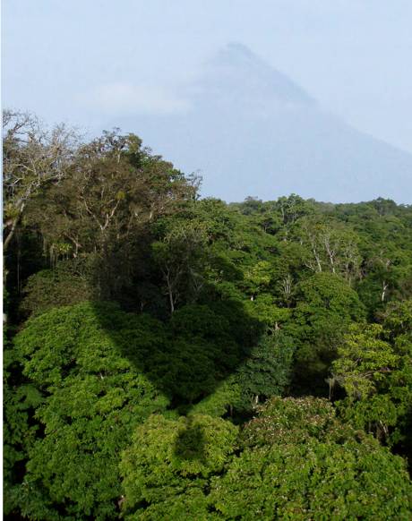 Balloon Shadow on rainforest, Arenal