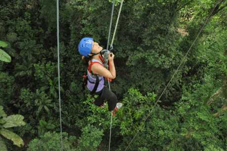 Private platform above primary forest - ascend with your own muscles and coordination 