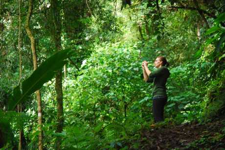 private access to cloud forest trails, waterfalls 