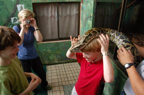 boa constrictor on head of teenager 