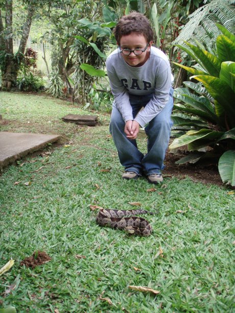 A young guest meets a Fer De Lance 