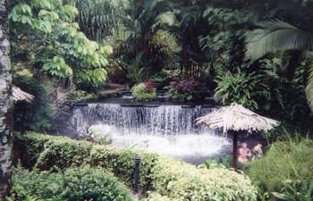 Tabacons Springs in Costra Rica 