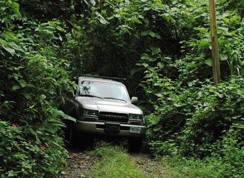 Volare Costa Rica 4x4 exits deep jungle cover