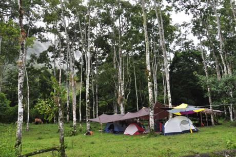 Trees near the river prvide comfort for the people -- and pasture for the horses