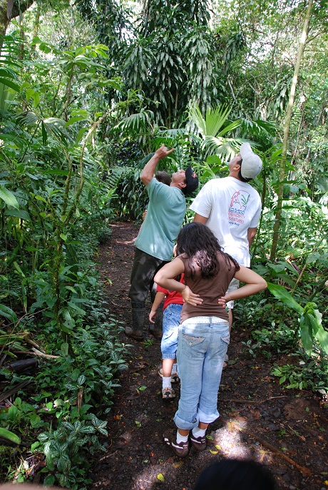 Walking in Don Claudio's rebuilt forest, rewscued from a worn-out pasture