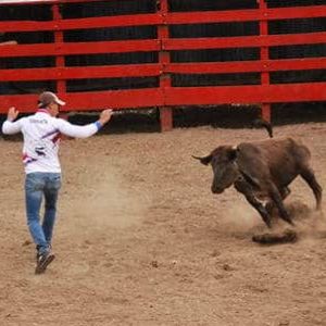 Costa Rica Bullfighta 