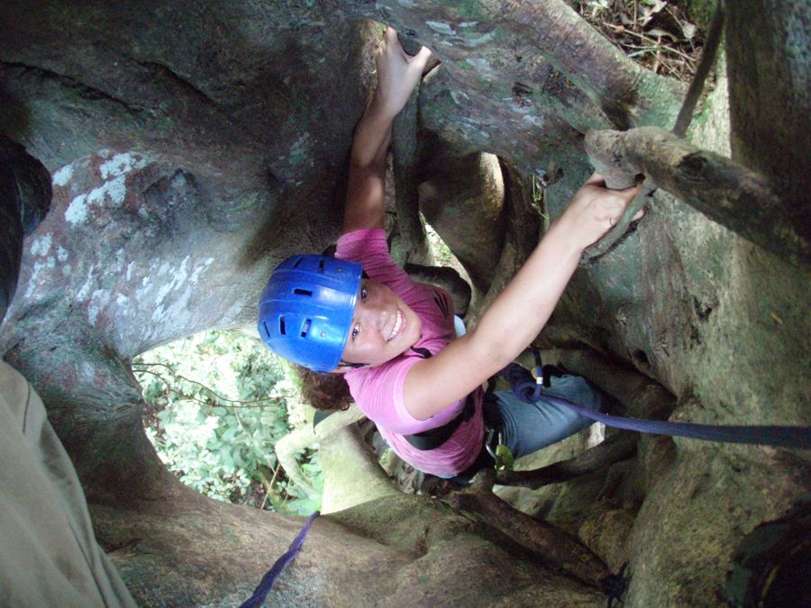 Climbing up inside Joseph, Serendipity's strangler fig