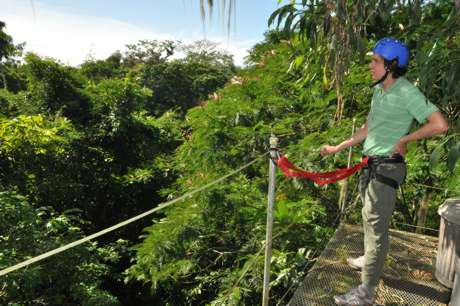 Serendipity Costa Rica's platform in primary forest near Fortuna, Costa Rica