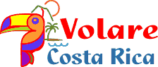 Volare Logo