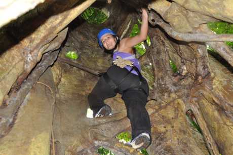 Volare tree climbing - inside trunk